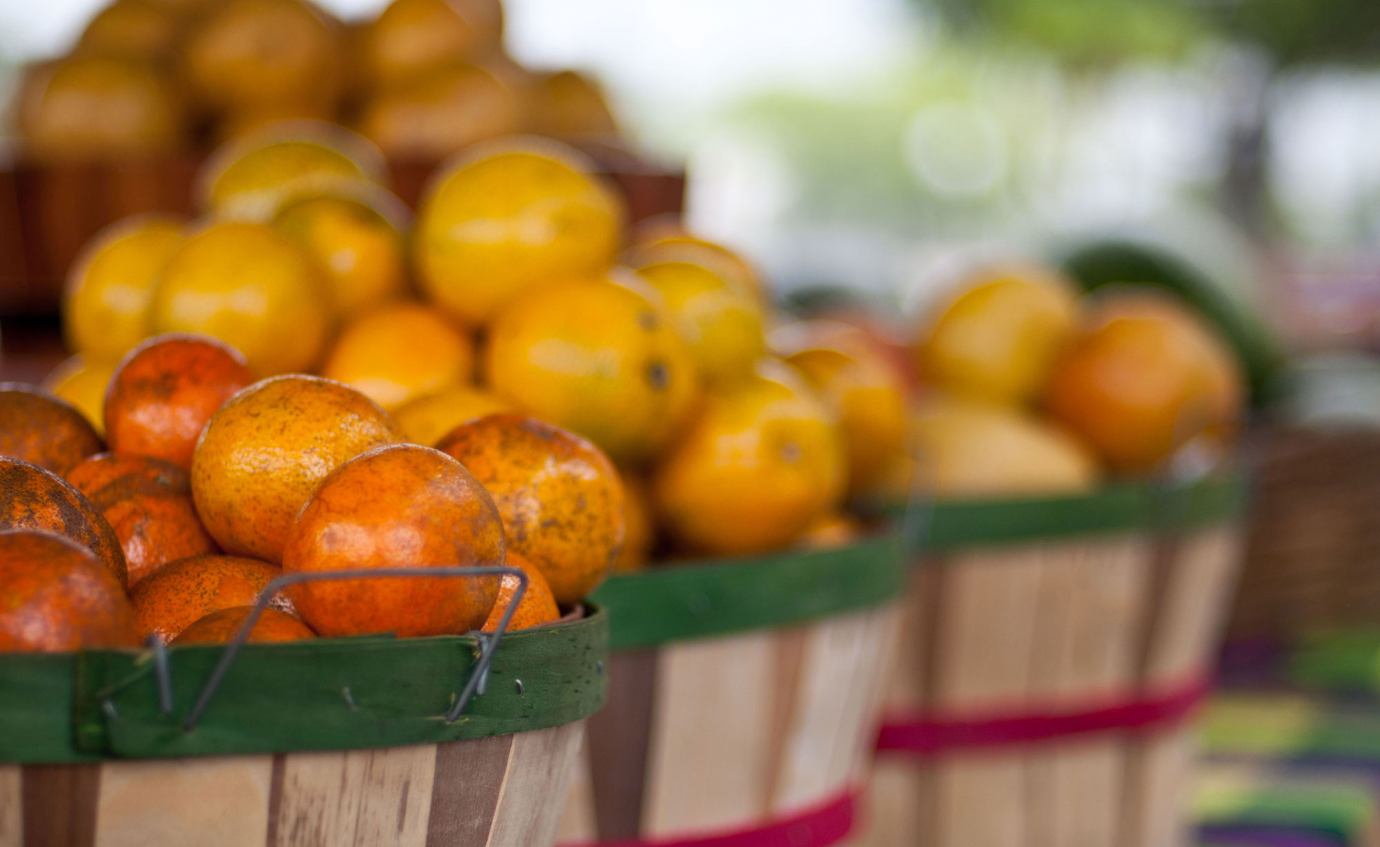 CERESAN – Centro de Referência em Soberania e Segurança Alimentar e Nutricional